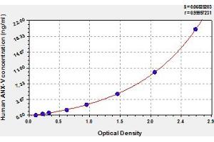 Typical Standard Curve (Annexin V ELISA Kit)