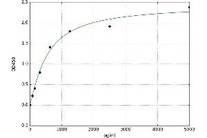 A typical standard curve