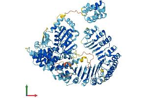 AlphaFold protein structure predicition of Human Recombinant NLRC4 Protein, UniprotID Q9NPP4 (NLRC4 Protein (AA 1-1024) (His tag))