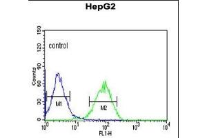 NR5A1 Antibody (N-term) (ABIN651299 and ABIN2840177) flow cytometric analysis of HepG2 cells (right histogram) compared to a negative control cell (left histogram).