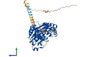 AlphaFold protein structure predicition of Human Recombinant ENTPD6 Protein, UniprotID O75354