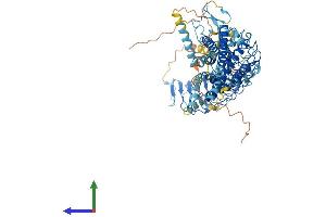 AlphaFold protein structure predicition of Human Recombinant RXFP1 Protein, UniprotID Q9HBX9