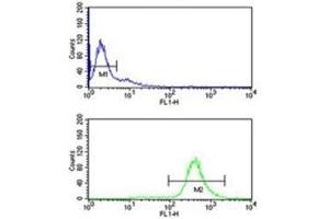 EIF2A antibody flow cytometry analysis of Ramos cells (bottom histogram) compared to a negative control (top histogram). (EIF2A antibody  (AA 437-465))