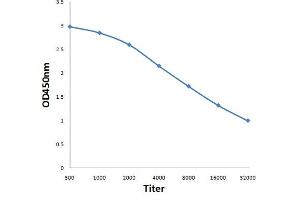 Antigen: 0. (Netrin 4 antibody  (AA 520-628))