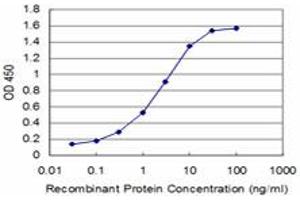 Detection limit for recombinant GST tagged BOLL is approximately 0. (BOLL antibody  (AA 185-283))