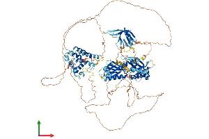 Protein Structure (PS) image for Pleckstrin Homology Domain Containing, Family M (With RUN Domain) Member 2 (PLEKHM2) (AA 1-1019) protein (His tag) (ABIN7554956)