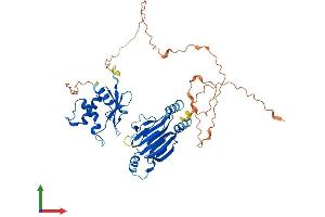 Protein Structure (PS) image for Interferon Regulatory Factor 4 (IRF4) (AA 1-451) protein (His tag) (ABIN7548520)