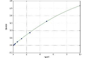Prothymosin, alpha (PTMA) ELISA Kit