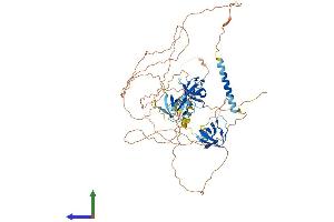 AlphaFold protein structure predicition of Human Recombinant SORBS3 Protein, UniprotID O60504