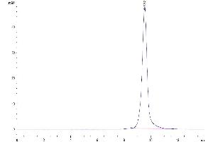 Size-exclusion chromatography-High Pressure Liquid Chromatography (SEC-HPLC) image for UL16 Binding Protein 1 (ULBP1) (AA 26-215) protein (His-Avi Tag) (ABIN7275817)