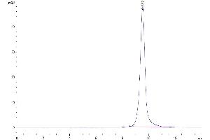 The purity of Human ULBP-1 is greater than 95 % as determined by SEC-HPLC. (ULBP1 Protein (His-Avi Tag))
