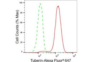 Flow cytometric analysis of Tuberin expression in HeLa cells using Tuberin antibody (ABIN7800658), 1:2,000). (Recombinant Tuberin antibody)