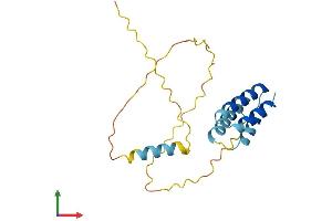 AlphaFold protein structure predicition of Human Recombinant CT45A2 Protein, UniprotID Q5DJT8 (CT45A2 Protein (AA 1-189) (His tag))