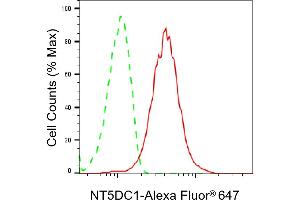anti-5'-Nucleotidase Domain Containing 1 (NT5DC1) antibody