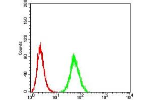 Flow Cytometry (FACS) image for anti-Eukaryotic Translation Initiation Factor 5 (EIF5) (AA 1-300) antibody (ABIN5865324) (EIF5 antibody  (AA 1-300))