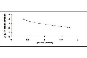 Typical standard curve (Glutamic Acid ELISA Kit)