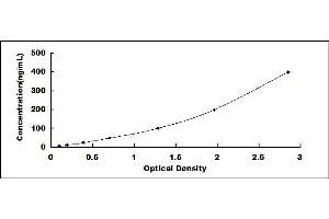 Typical standard curve (MBL Ab ELISA Kit)