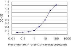 Detection limit for recombinant GST tagged MCCC1 is approximately 0. (MCCC1 antibody  (AA 526-625))