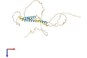 AlphaFold protein structure predicition of Human Recombinant TMEM200B Protein, UniprotID Q69YZ2 (TMEM200B Protein (AA 1-307) (His tag))