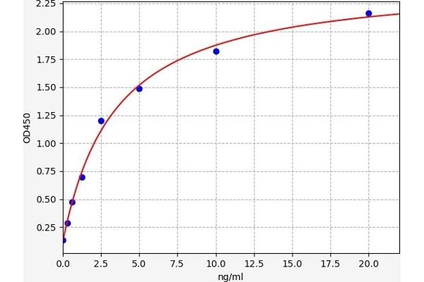 HDGF ELISA Kit