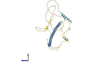 AlphaFold protein structure predicition of Human Recombinant JUN Protein, UniprotID P05412 (C-JUN Protein (AA 1-331) (His tag))