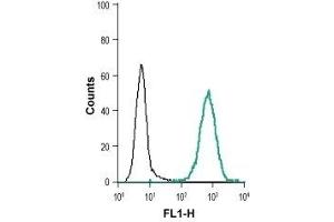 Cell surface detection of EphB1 in live intact human THP-1 monocytic leukemia cell line: (black line) Cells + goat anti-rabbit-AlexaFluor-488 secondary antibody. (EPH Receptor B1 antibody  (Extracellular, N-Term))