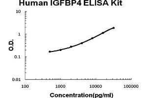 Human IGFBP4 Accusignal ELISA Kit Human IGFBP4 AccuSignal ELISA Kit standard curve.