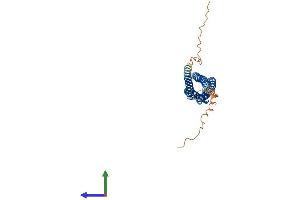 AlphaFold protein structure predicition of Mouse Recombinant Ms4a6d Protein, UniprotID Q99N07 (MS4A11 Protein (AA 1-247) (His tag))