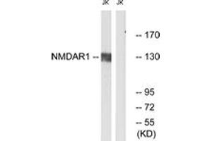 Western blot analysis of extracts from Jurkat cells, using NMDAR1 (Ab-890) Antibody. (GRIN1/NMDAR1 antibody  (AA 856-905))