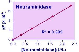 Biochemical Assay (BCA) image for Neuraminidase Assay Kit (ABIN1000322)