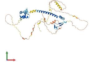 AlphaFold protein structure predicition of Human Recombinant E2F1 Protein, UniprotID Q01094