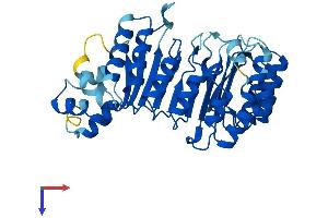 FBXL8 Protein (AA 1-374) (His tag)