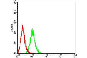 Flow Cytometry (FACS) image for anti-Tumor Necrosis Factor Receptor Superfamily, Member 11a, NFKB Activator (TNFRSF11A) (AA 30-212) antibody (ABIN5684101)