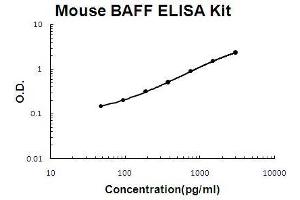 Mouse BAFF PicoKine ELISA Kit standard curve