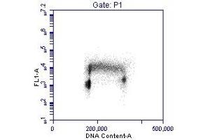 Flow Cytometry (FACS) image for anti-Proliferating Cell Nuclear Antigen (PCNA) (AA 75-125) antibody (ABIN7454604) (PCNA antibody  (AA 75-125))