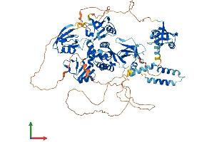 Protein Structure (PS) image for Discs, Large Homolog 1 (DLG1) (AA 1-904) protein (His tag) (ABIN7553721)