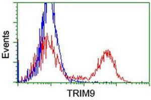 Image no. 3 for anti-Tripartite Motif Containing 9 (TRIM9) (AA 284-669) antibody (ABIN1491330) (TRIM9 antibody  (AA 284-669))