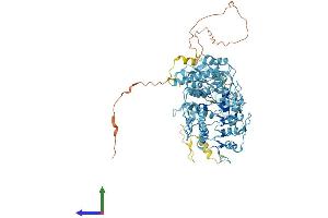 AlphaFold protein structure predicition of Human Recombinant ZNF585B Protein, UniprotID Q52M93