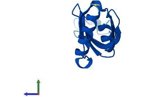 AlphaFold protein structure predicition of Mouse Recombinant Lsm2 Protein, UniprotID O35900 (LSM2 Protein (AA 1-95) (His tag))