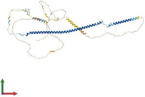 AlphaFold protein structure predicition of Human Recombinant RSPH3 Protein, UniprotID Q86UC2 (RSPH3 Protein (AA 1-560) (His tag))