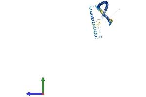 AlphaFold protein structure predicition of Human Recombinant GAS8 Protein, UniprotID O95995