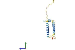 AlphaFold protein structure predicition of Human Recombinant EEF1DP3 Protein, UniprotID Q658K8 (EEF1DP3 Protein (AA 1-133) (His tag))