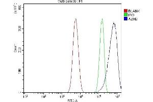 Flow Cytometry analysis of U87 cells using anti-Arginine Decarboxylase/AZIN2 antibody (ABIN7599403). (ADC antibody  (AA 1-448))