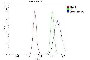 Flow Cytometry analysis of PC-3 cells using anti-OB Cadherin/CDH11 antibody (ABIN5518978). (OB Cadherin antibody  (AA 55-293))