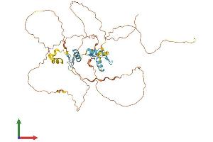 AlphaFold protein structure predicition of Mouse Recombinant Sp7 Protein, UniprotID Q8VI67 (SP7 Protein (AA 1-428) (His tag))