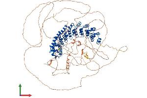 AlphaFold protein structure predicition of Mouse Recombinant Pum2 Protein, UniprotID Q80U58 (PUM2 Protein (AA 1-1066) (His tag))