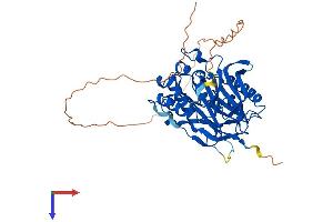 AlphaFold protein structure predicition of Mouse Recombinant Noct Protein, UniprotID O35710 (CCRN4L Protein (AA 1-429) (His tag))