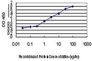 ELISA image for anti-Homeodomain Interacting Protein Kinase 2 (HIPK2) (AA 961-1065) antibody (ABIN565401)