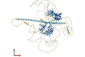 AlphaFold protein structure predicition of Mouse Recombinant Mink1 Protein, UniprotID Q9JM52