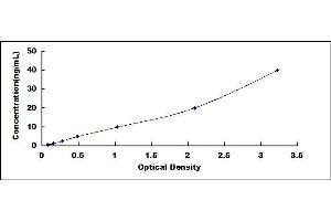 Typical standard curve